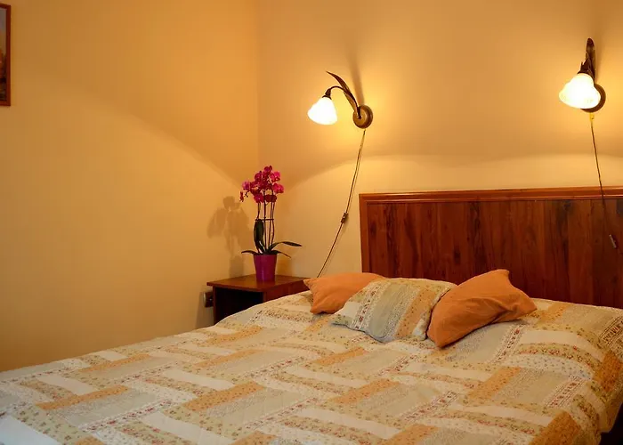 Anna زاكوباني